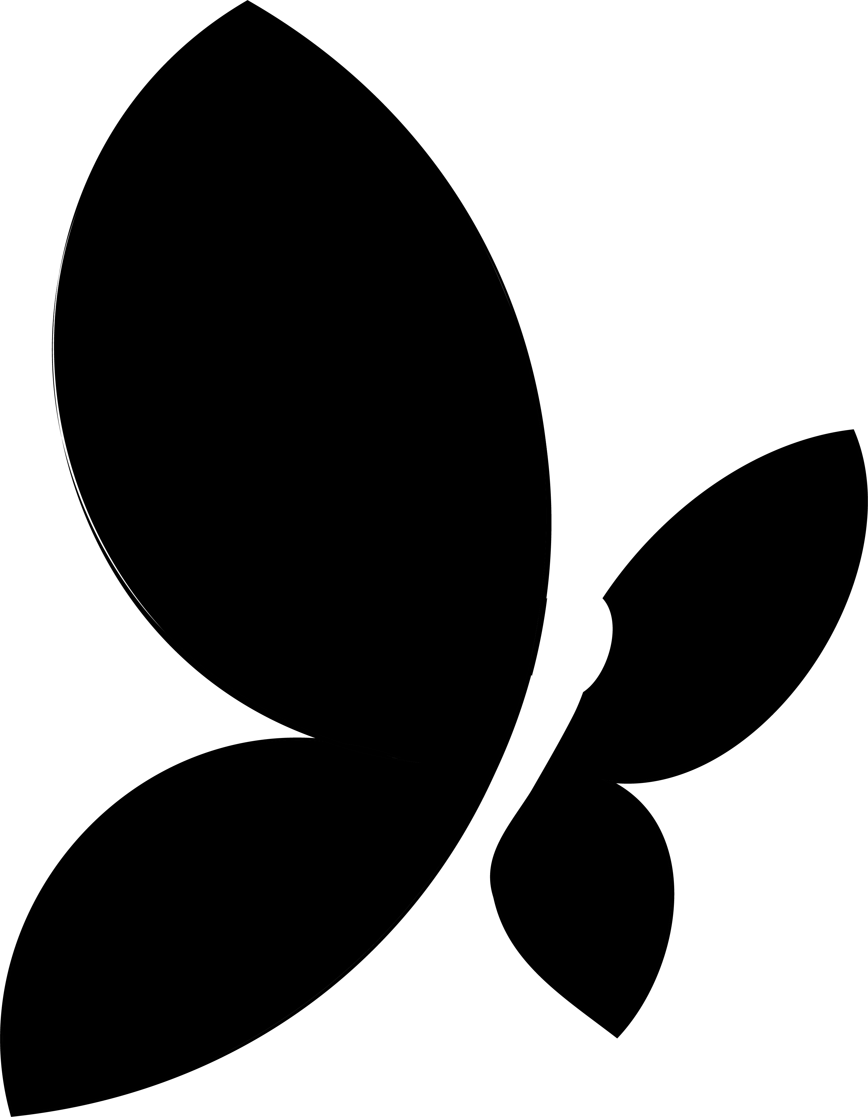 A butterfly of growth - Social media growth. A bold black butterfly symbolizing creativity, transformation, and social media growth – part of Anni Designed's branding.